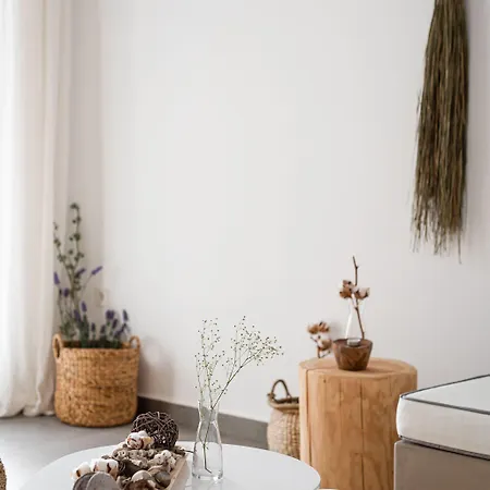 Summersalt Paros Βίλα *